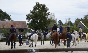 Cours équestre au Haras de Croix d'Hans